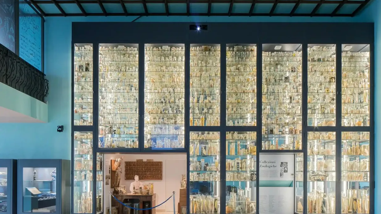 Museo Darwin-Dohrn