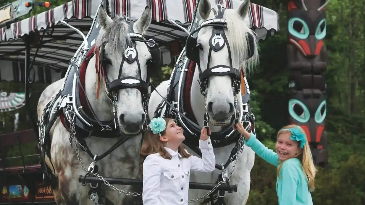 Vancouver: Stanley Park Horse-Drawn Guided Tour Provided by Big Bus Vancouver Limited dba West Coast Sightseeing