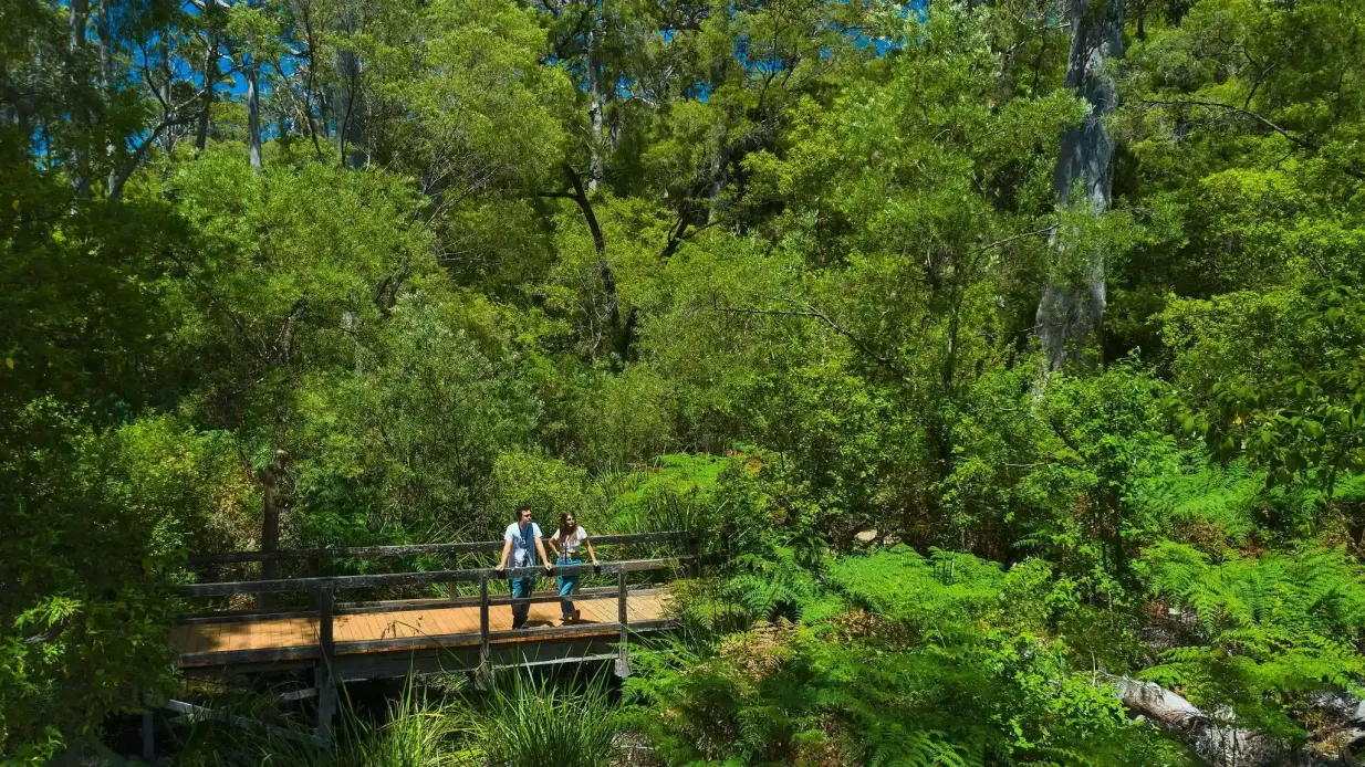 Australie : Visite audioguidée de la grotte de Mammoth Fournie par Capes Foundation
