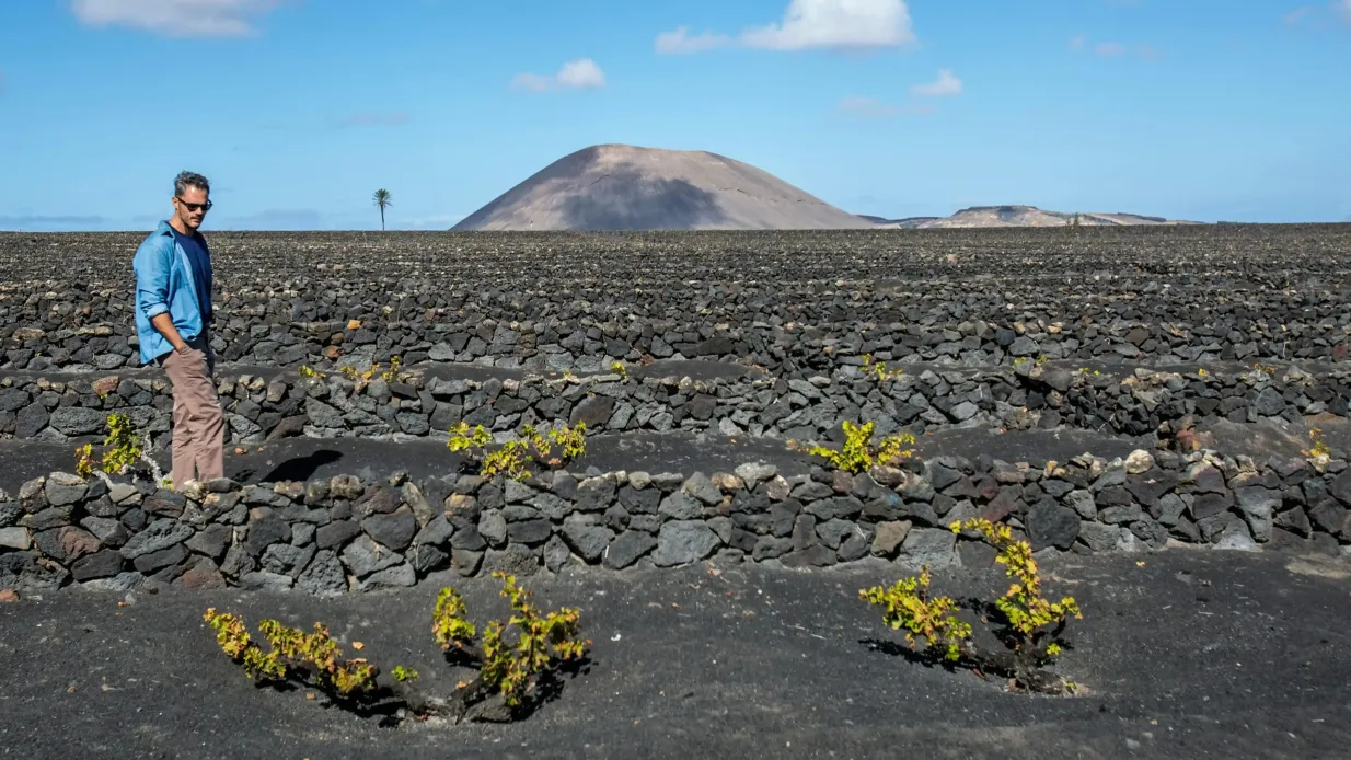 Lanzarote: El Grifo Wine Lovers Tours Provided by Bodegas El Grifo S.A
