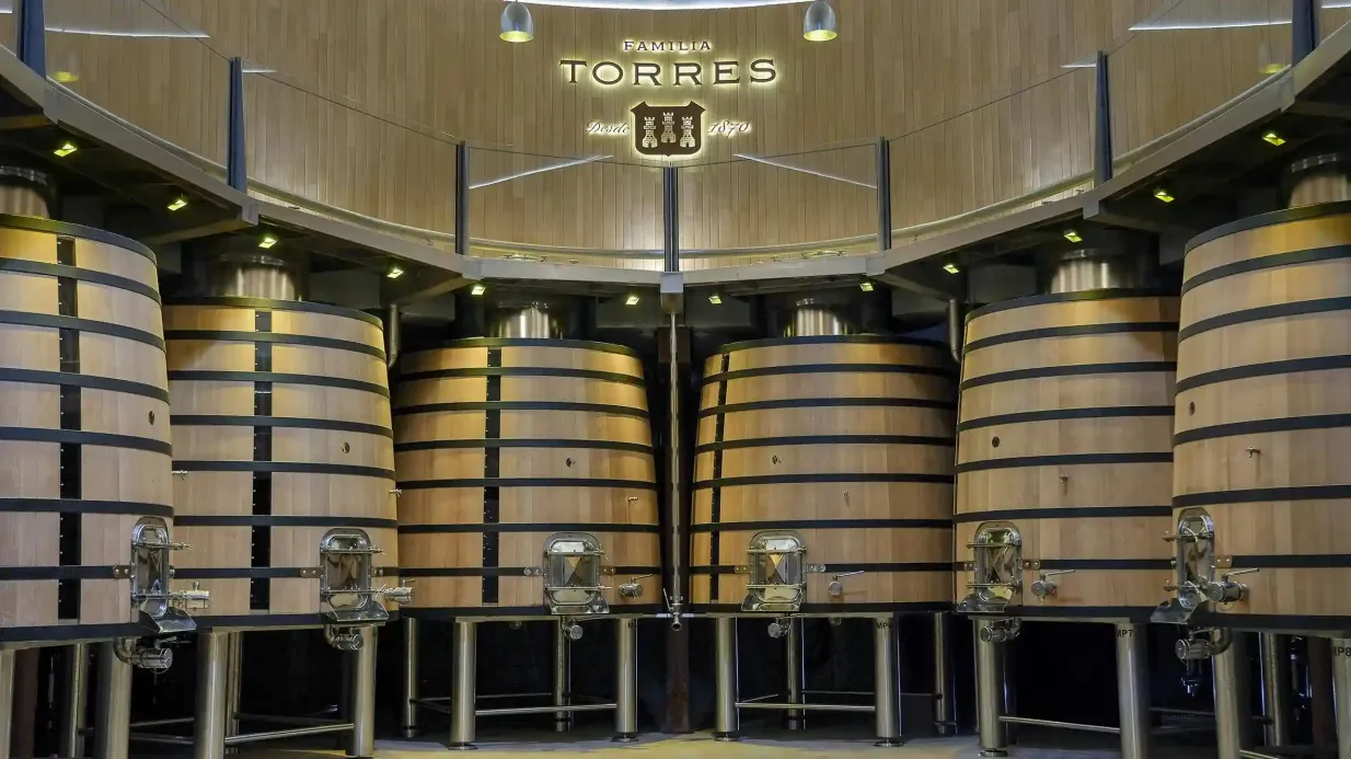 Torres Winery : Visite guidée + Accord mets-vins et tapas Fournie par La Vinoteca Torres, SLU