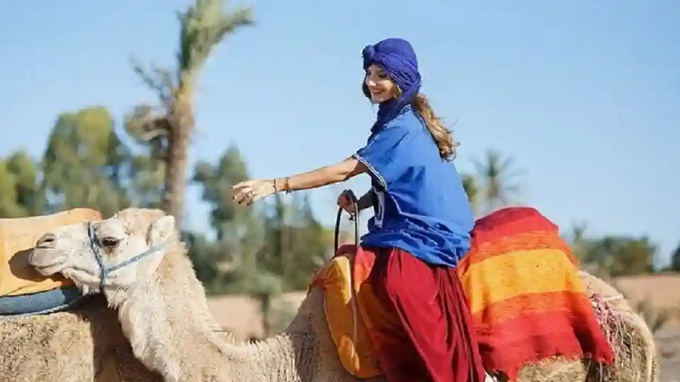 Hurghada: 1-stündiger geführter Kamelritt + Transfer