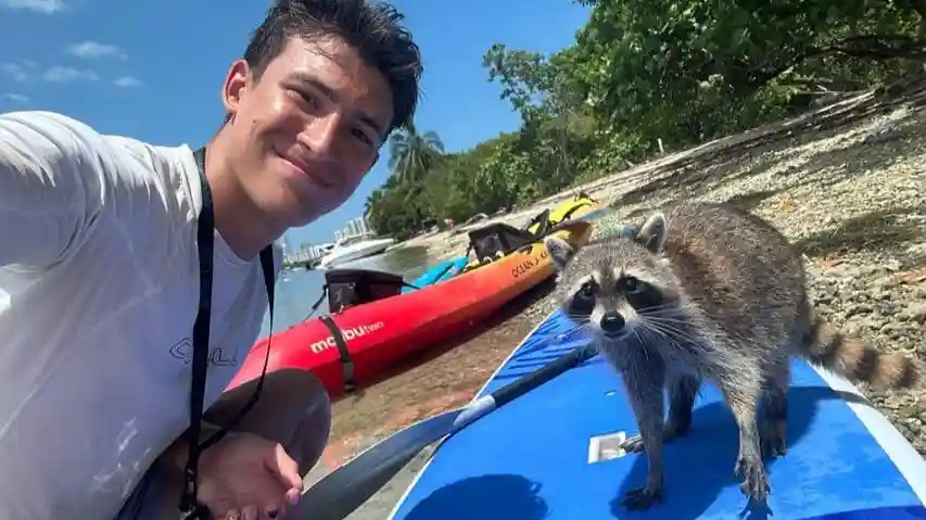 Biscayne Bay & Raccoon Island: SUP/Kayak Adventure Provided by So Flo Water Adventures