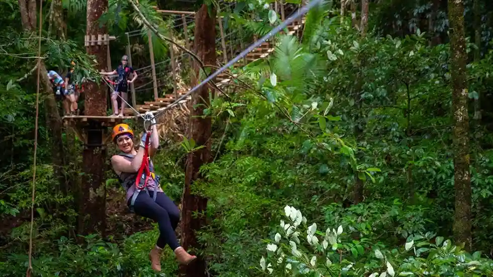 Treetops Adventure - Cape Tribulation Fournie par TREES ADVENTURE HOLDINGS PTYLTD