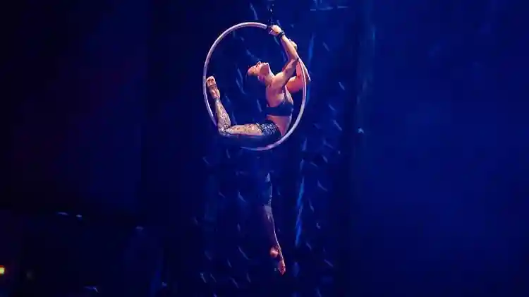 La Perle by Dragone : Spectacle et dîner Fournie par priohub