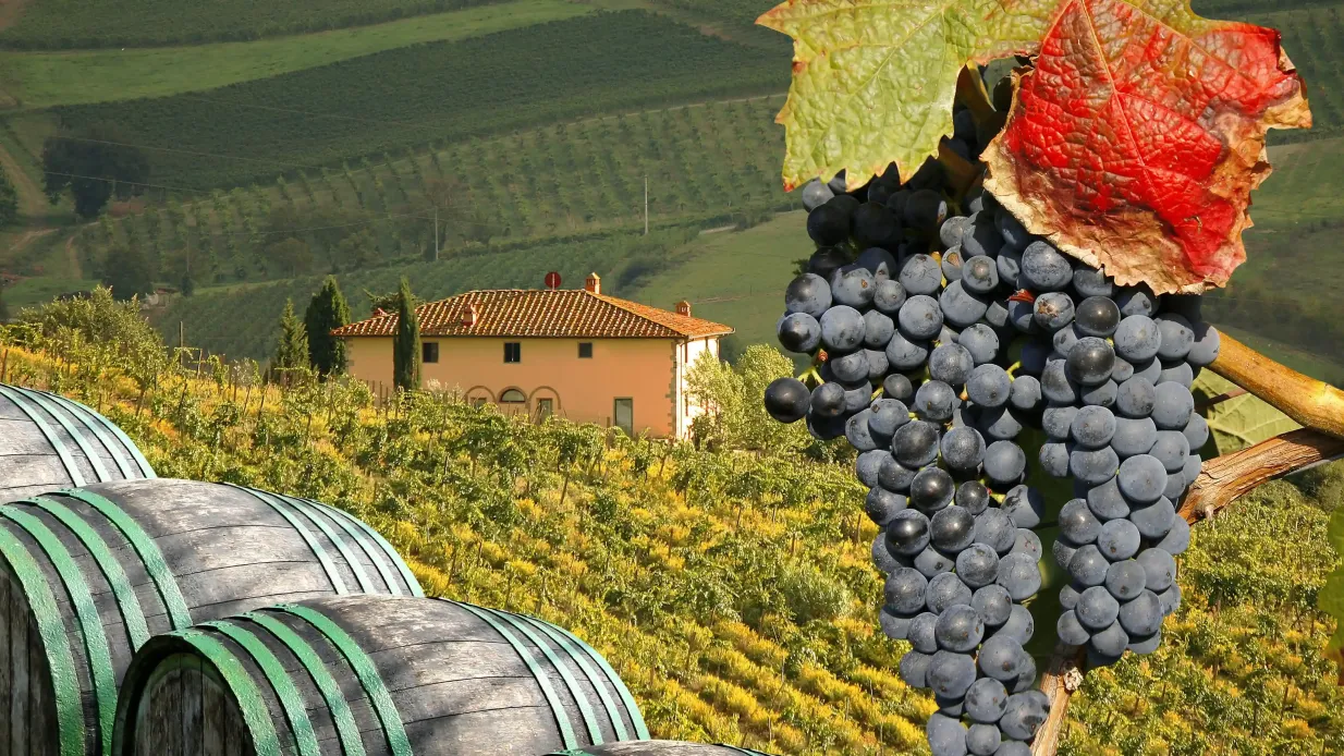 Chianti: Day Trip from Florence + Wine Tour & Tasting