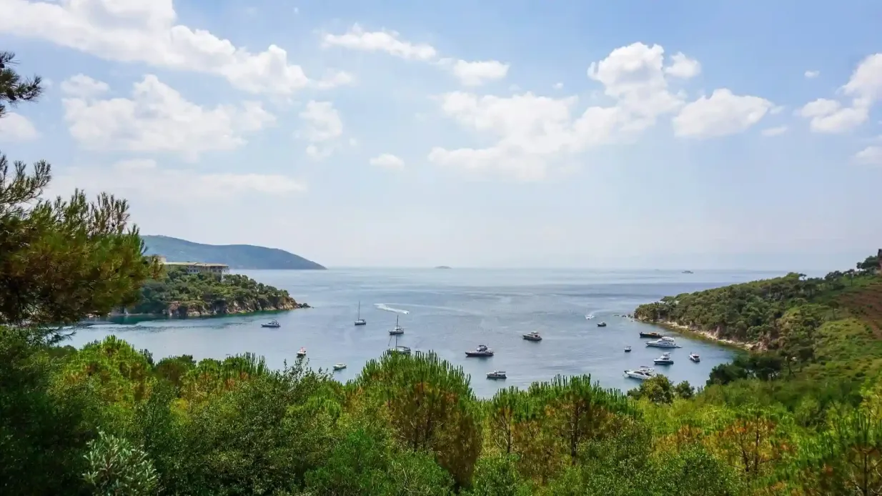 Estambul: Excursión de un día a las Islas de los Príncipes desde Estambul, almuerzo + traslado