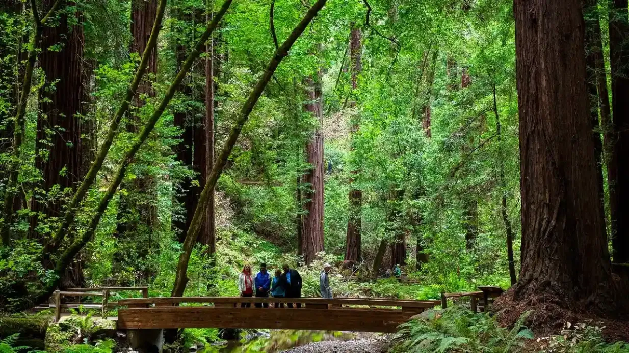 From San Francisco: Day Trip to Redwoods & Wine Country Provided by Epic Sightseeing, LLC