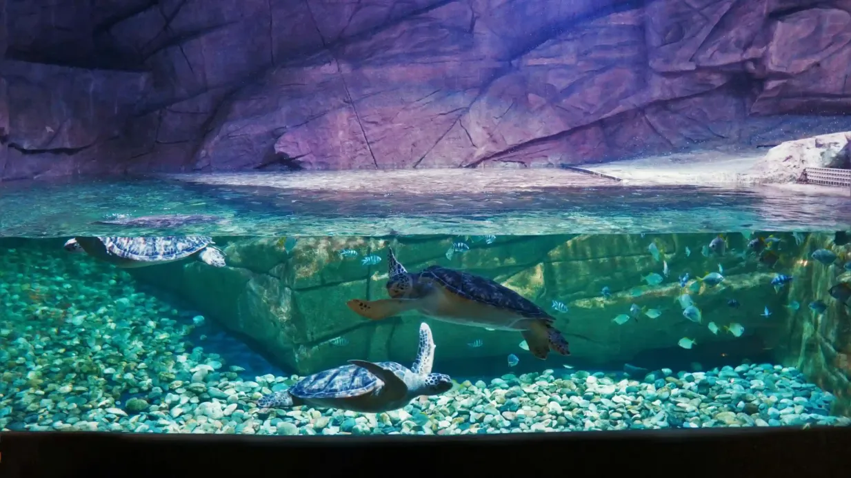 Aquaria Phuket: Biglietto d'ingresso