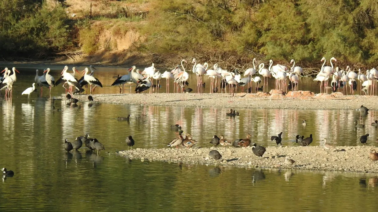 Cañada de los Pájaros Bird Reserve Provided by Cañada de los Pájaros, S.L.