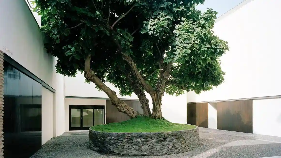 Museo Picasso Málaga: tour guiado