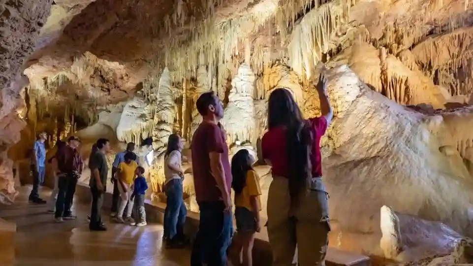 Twisted Trails at Natural Bridge Caverns: Entrada Operado por Natural Bridge Caverns
