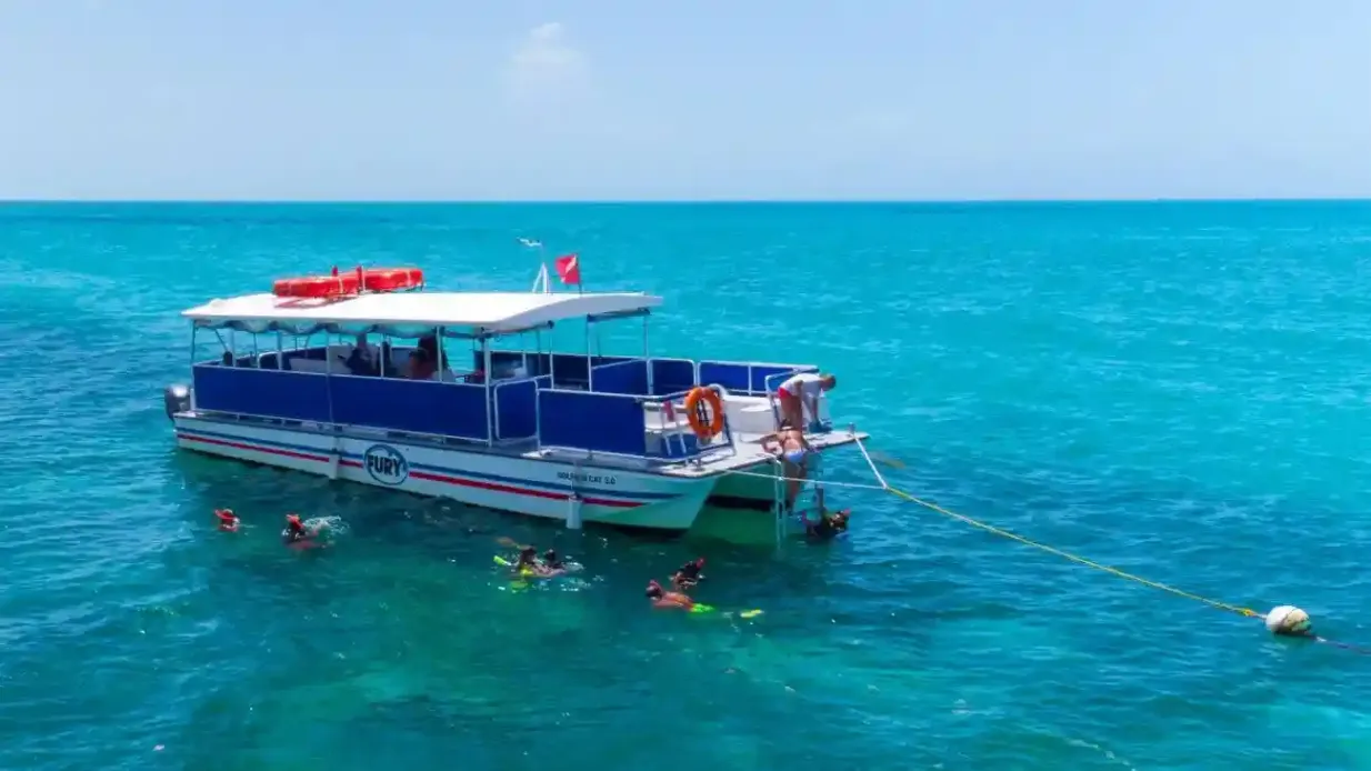 Key West: Dolphin Watching Eco Tour Provided by Fury Water Adventures