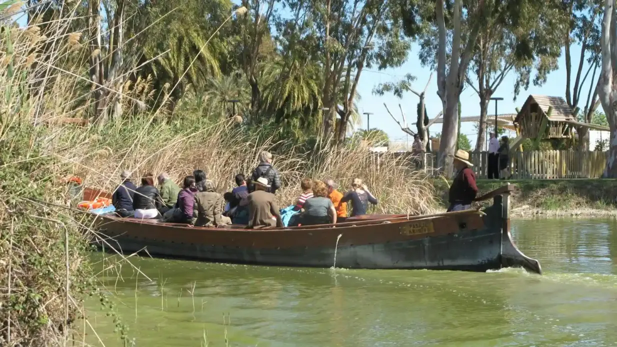 Albufera de ônibus e barco desde Valência Organizado por Viajes Transvia Tours, S.L.