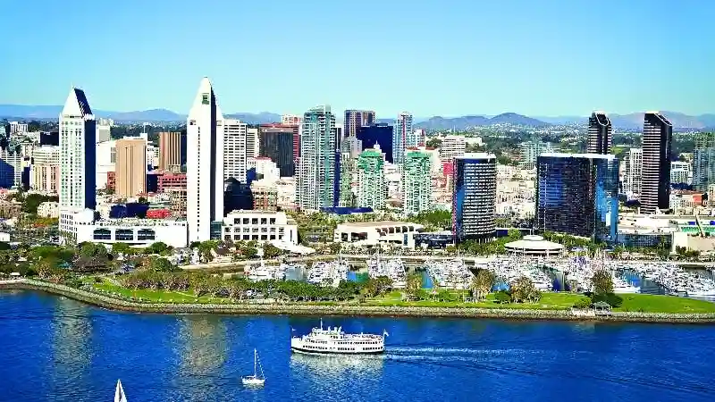 San Diego Whale & Dolphin Watching Adventure Fornito da City Cruises West