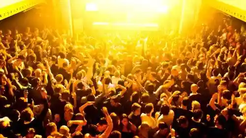 Amsterdam Nightlife & Clubs + Free Drinks Provided by Amsterdam Nightlife