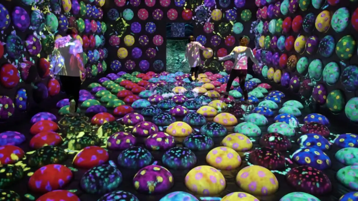 teamLab Bosque Fukuoka: Entrada Operado por LINKTIVITY Inc.