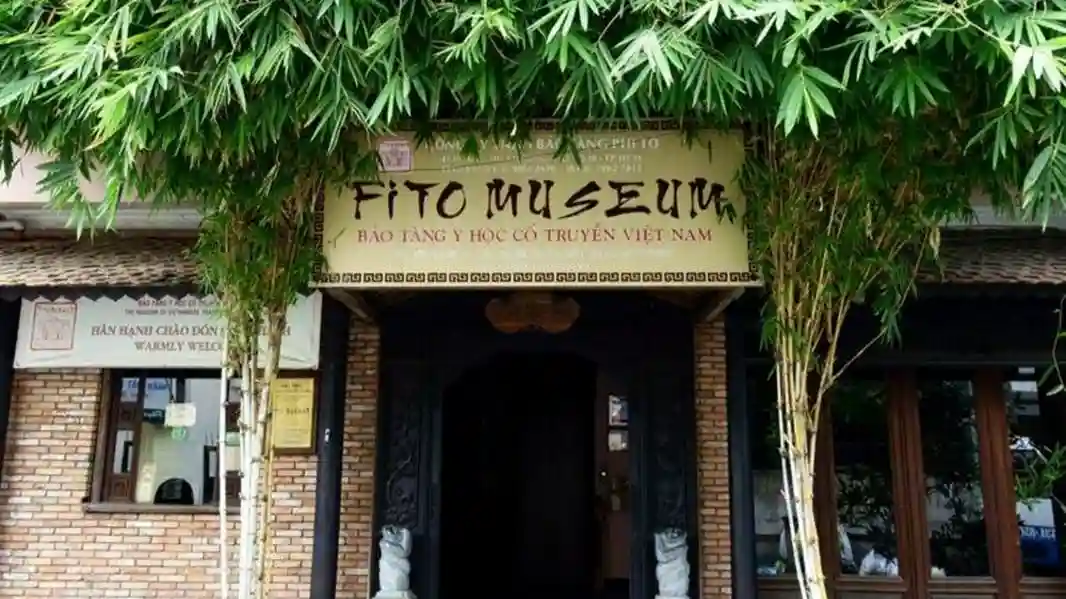 Musée Fito : Billet d'entrée