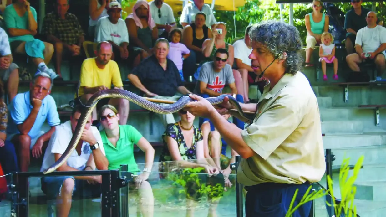 Hartley's Crocodile Adventures : Hartley's Koala Breakfast Fournie par Hartley's Crocodile Adventures