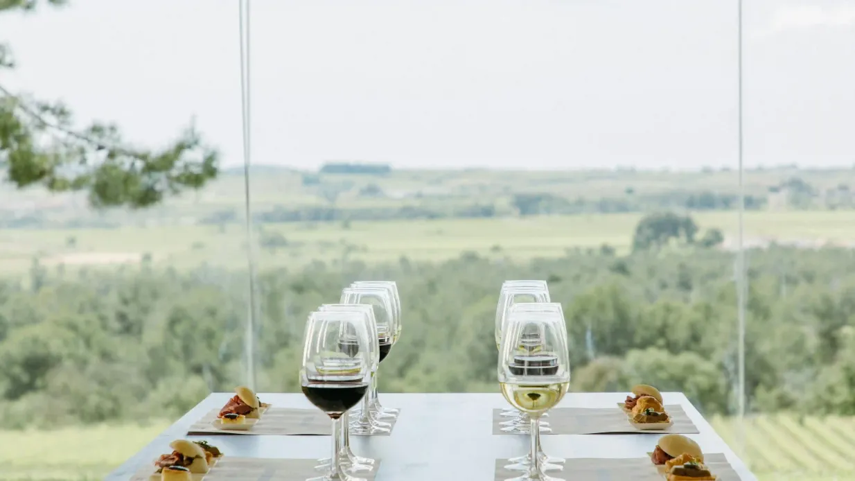 Adega Jean Leon: tour guiado + Harmonização de vinhos e tapas Organizado por Jean Leon