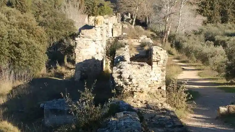 Parc Naturel Régional des Alpilles: Guided Tour from Arles Provided by SARL J2M