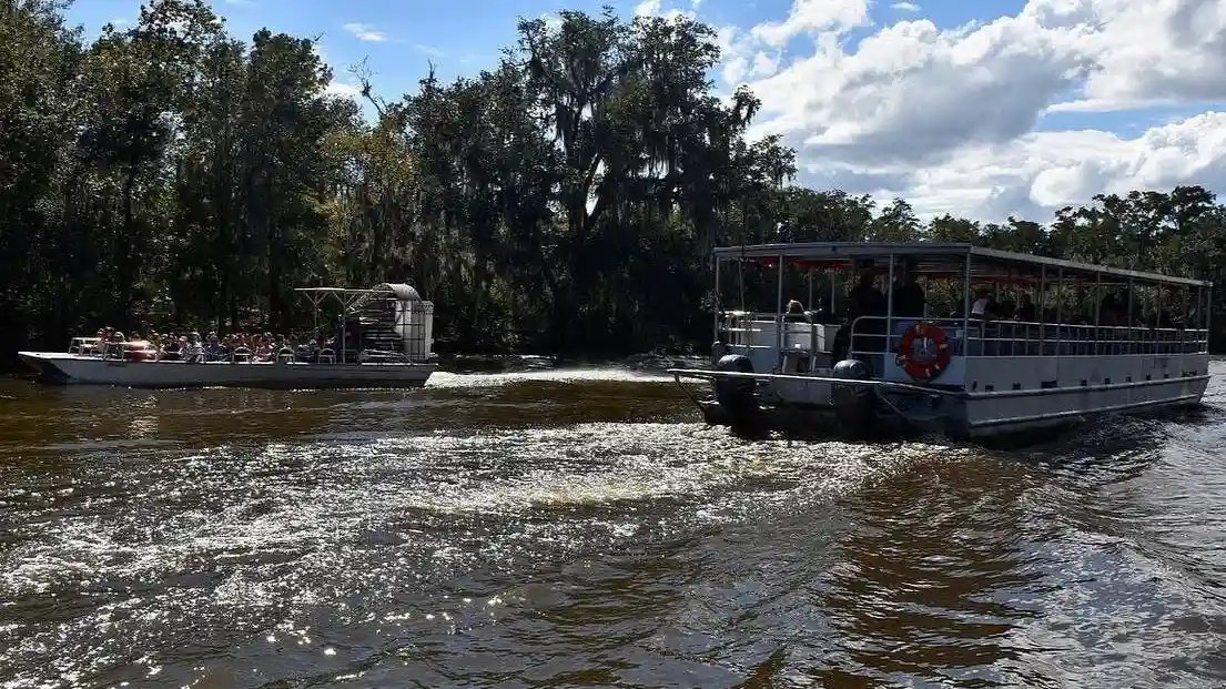 New Orleans: Guided Pontoon Boat Swamp Tour