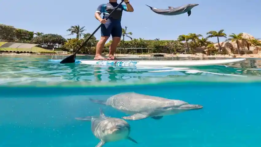 Gold Coast: Pass per 4 parchi e 5 giorni (solo per turisti internazionali) Fornito da Tiqets International B.V.