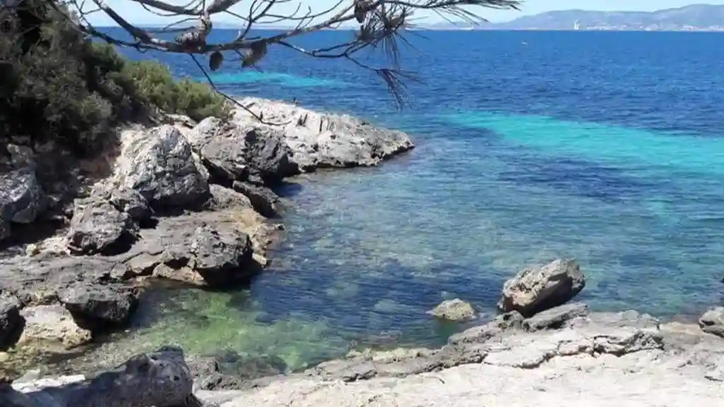 Mallorca: Excursión guiada en quad + snorkel + salto de acantilados