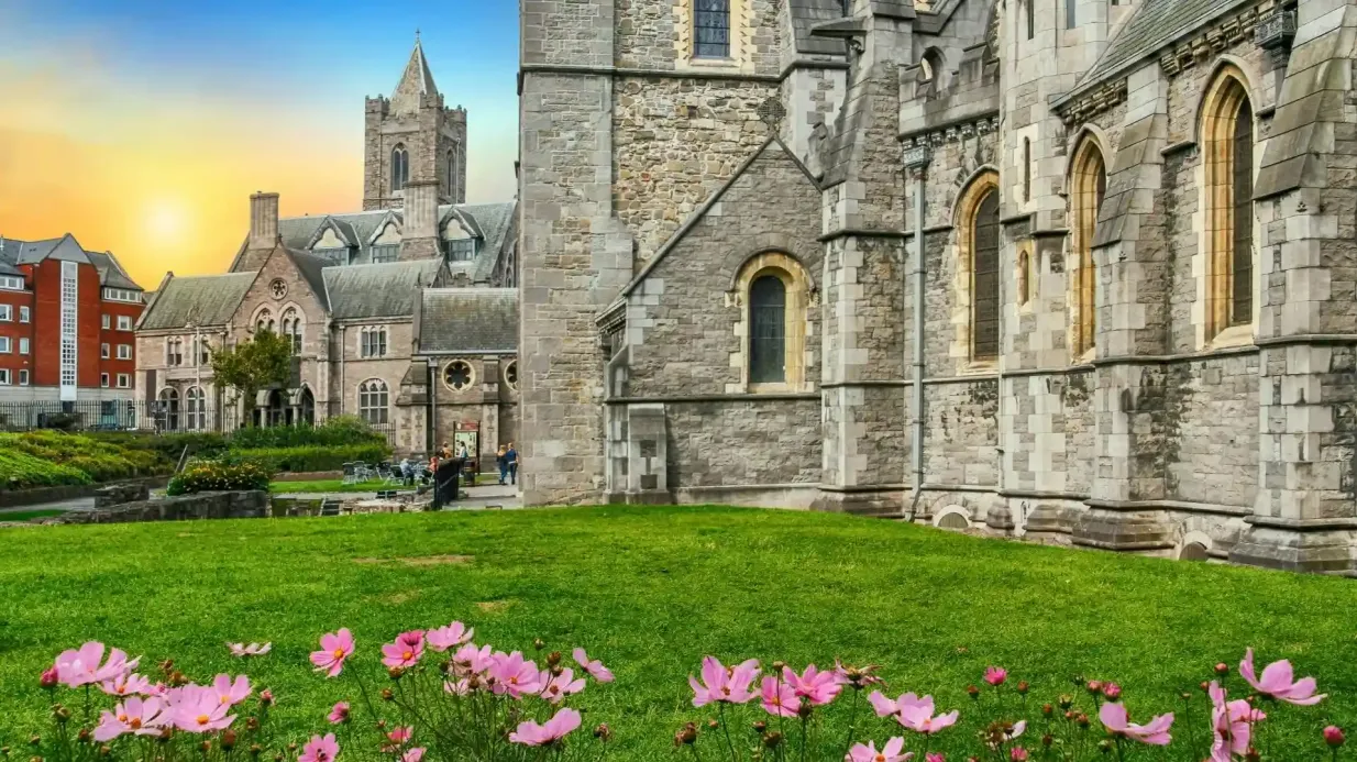 Libro di Kells, Castello di Dublino e Cattedrale di Christ Church: Tour guidato a piedi