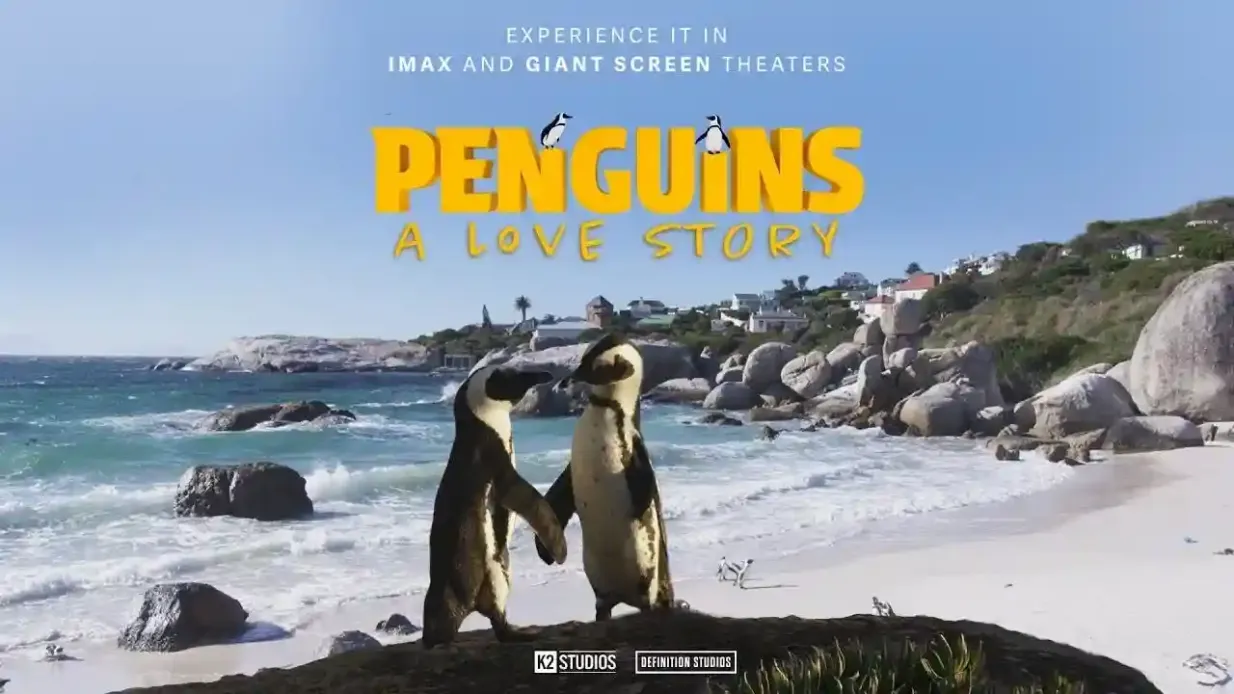 Simons Theatre: Penguins - A Love Story Film Provided by New England Aquarium