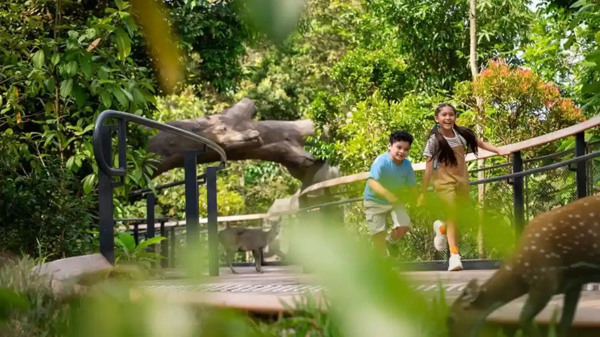 Rainforest Wild ASIA: Biglietto d'ingresso