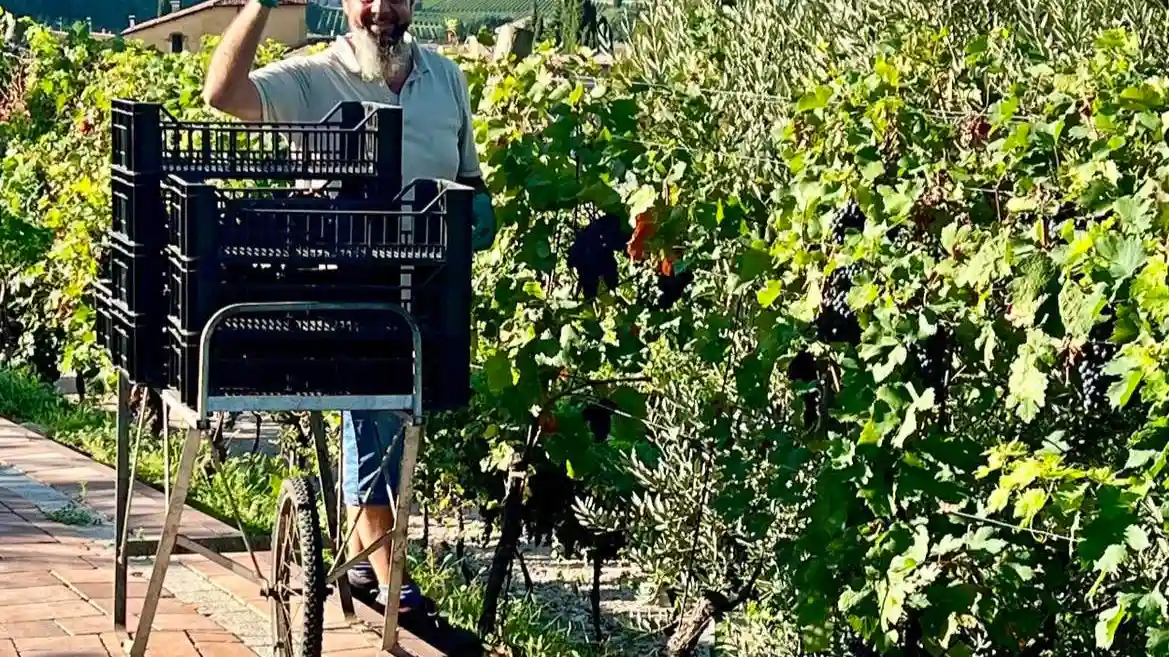 Cantina Fratelli Vogadori: Valpolicella Wine Tasting Experience Provided by Fratelli Vogadori