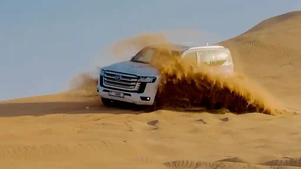 Dubai: Sunset Desert Safari Tour + Camel Ride + BBQ Dinner Provided by Adventure Experience Tourism LLC