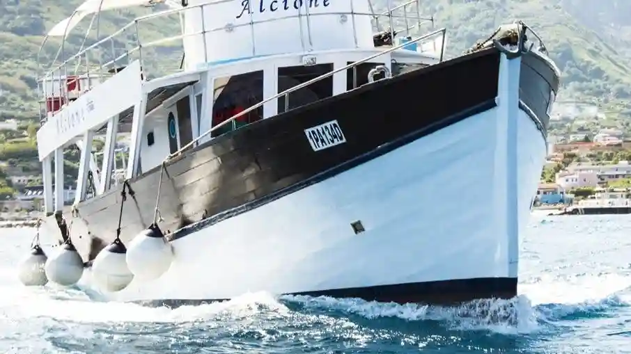 Ischia: Day Cruise with Lunch Provided by Criade di Adriano Luigi Gaetano Cavallo