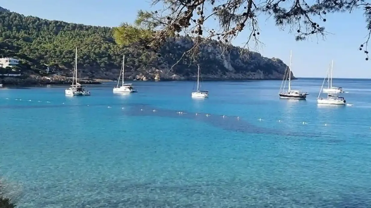 Palma de Mallorca: 4-Hour Luxury Catamaran Tour with Tapas & Lunch Provided by Sail Palma