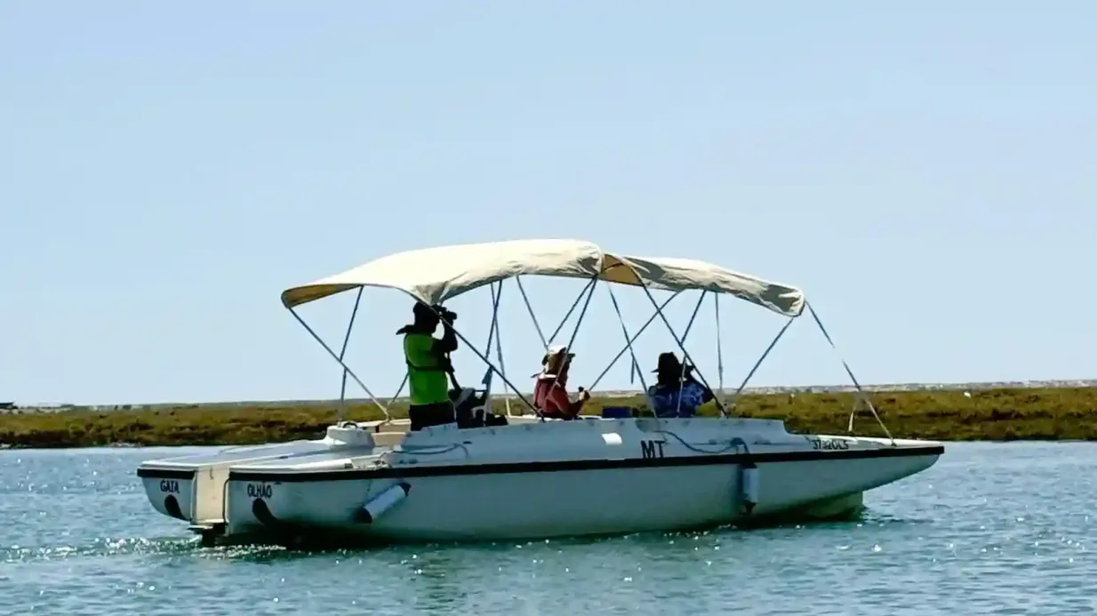 Ria Formosa: Solar Eco Boat Tour from Faro