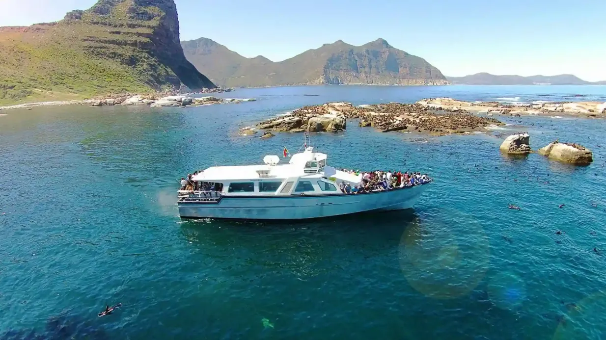 Île Duiker : Croisière touristique pour les phoques