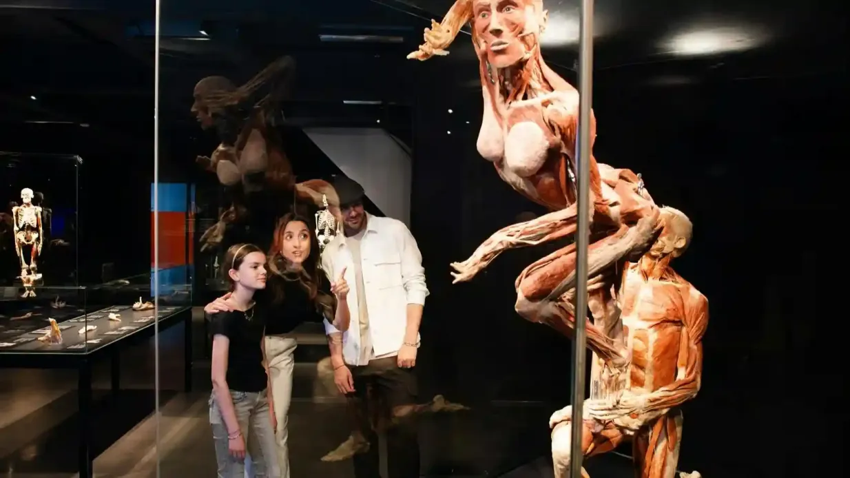 Amsterdam : Body Worlds + Croisière sur les canaux