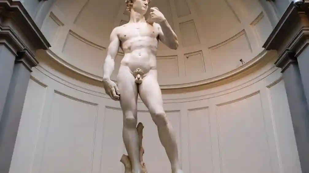 Galleria dell'Accademia  : Visite guidée Fournie par Crown Tours srl