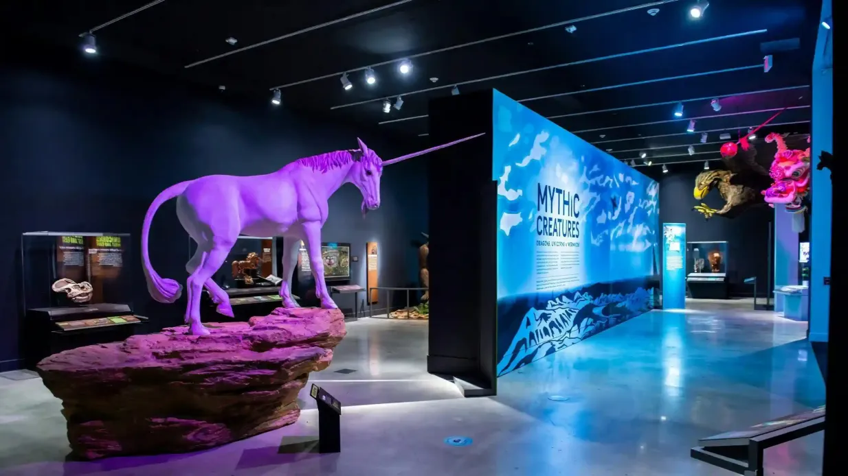 Musée HistoryMiami : Billet d'entrée Fournie par History Miami Museum