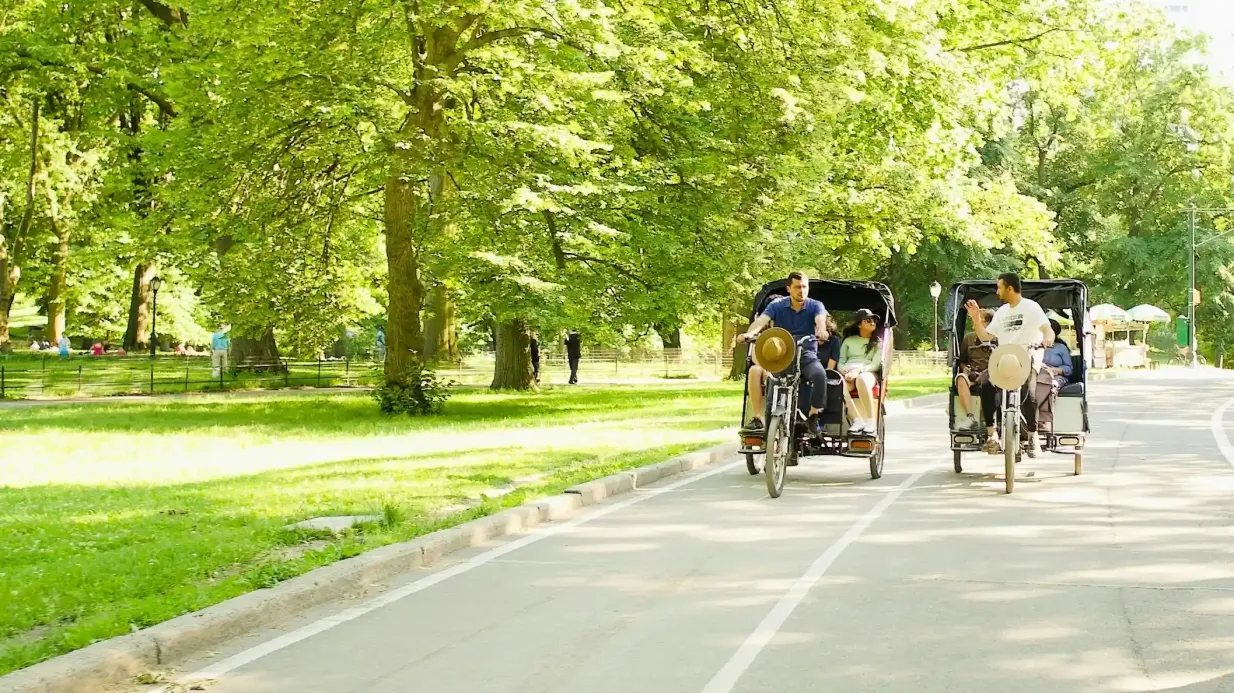 Central Park: Pedicab Guided Tour Provided by Experience NYC LLC