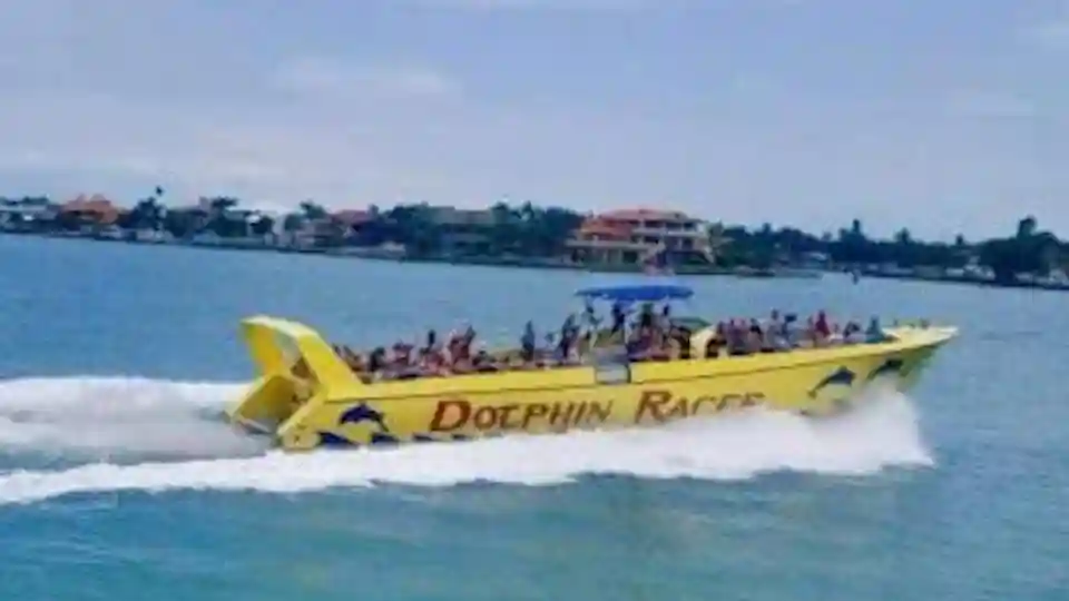 Area di St. Pete Beach: Avventura in motoscafo con i delfini Fornito da Gray Line Orlando