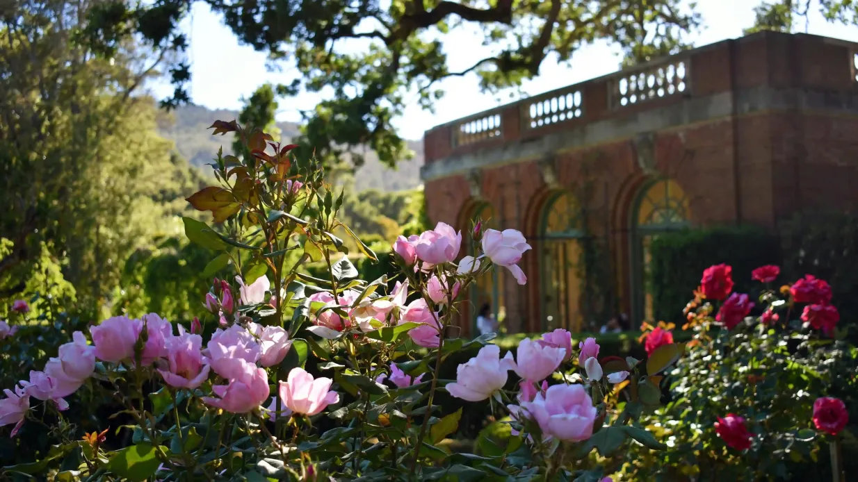 Filoli Summer Nights Admission Provided by Filoli Center