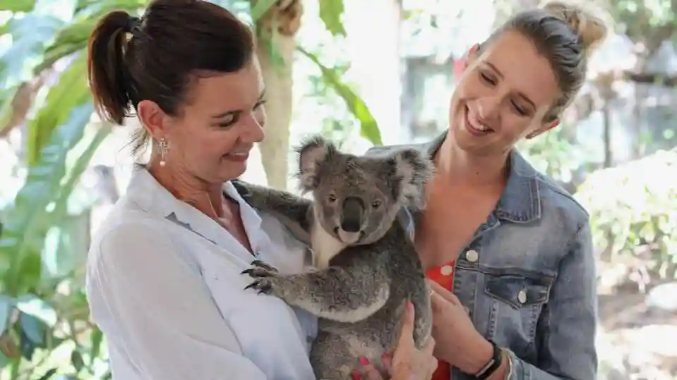 Lone Pine Koala Sanctuary: Entrada