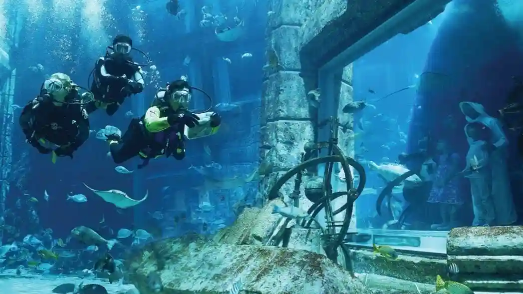 Dubai Aquarium y Underwater Zoo: Entrada + Encuentro con pingüinos