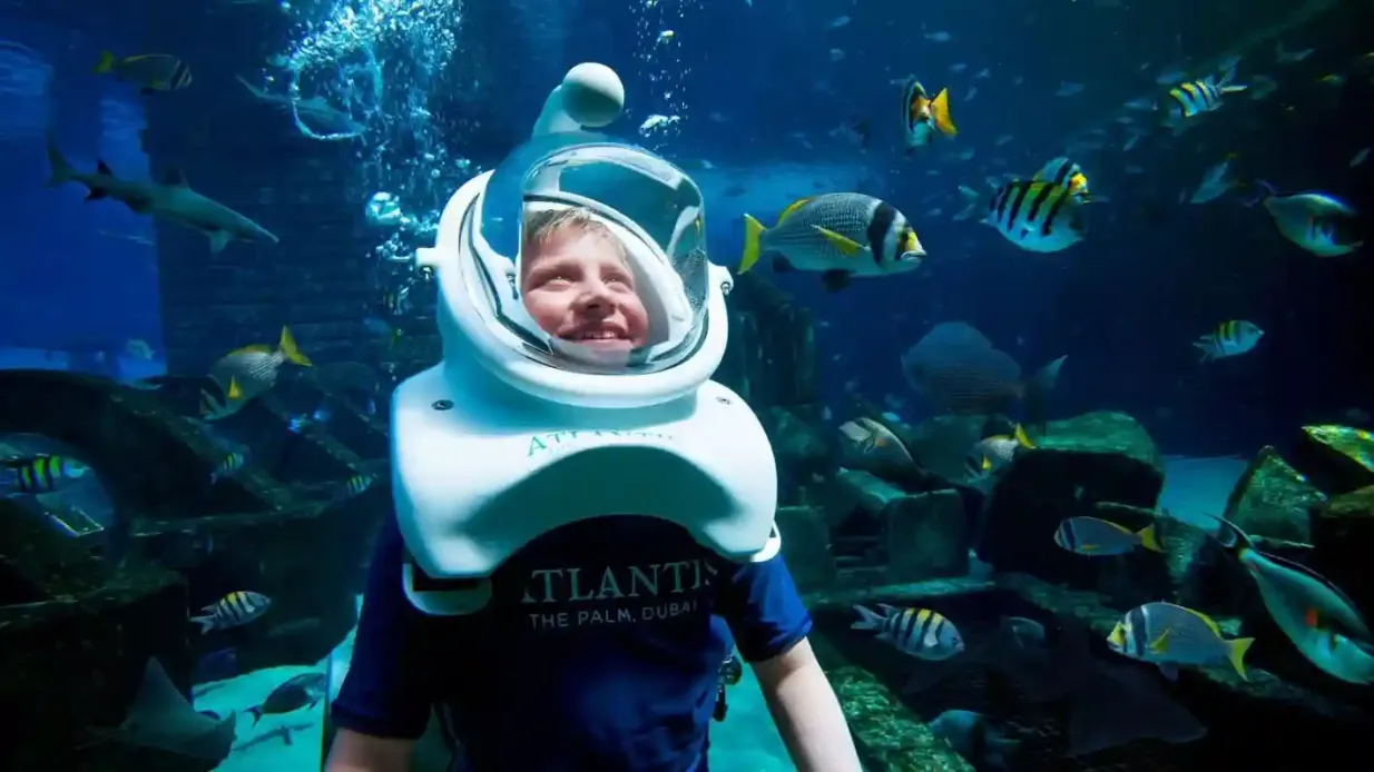 Le monde de l'aquaventure : Pass journée parc aquatique + Plongée en apnée ou safari avec les requins