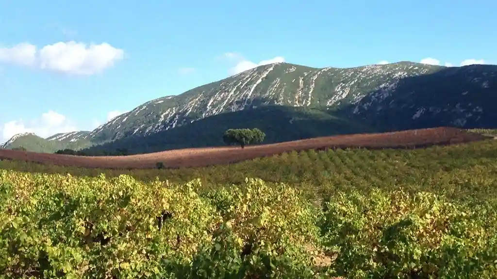 Arrábida y Sesimbra: Excursión de un día desde Lisboa + Cata de Vinos Operado por Inside Lisbon, Lda