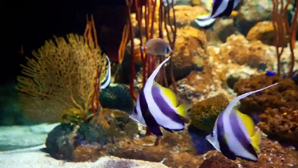 Underwater World Pattaya: Entry Ticket Provided by Tiqets International B.V.