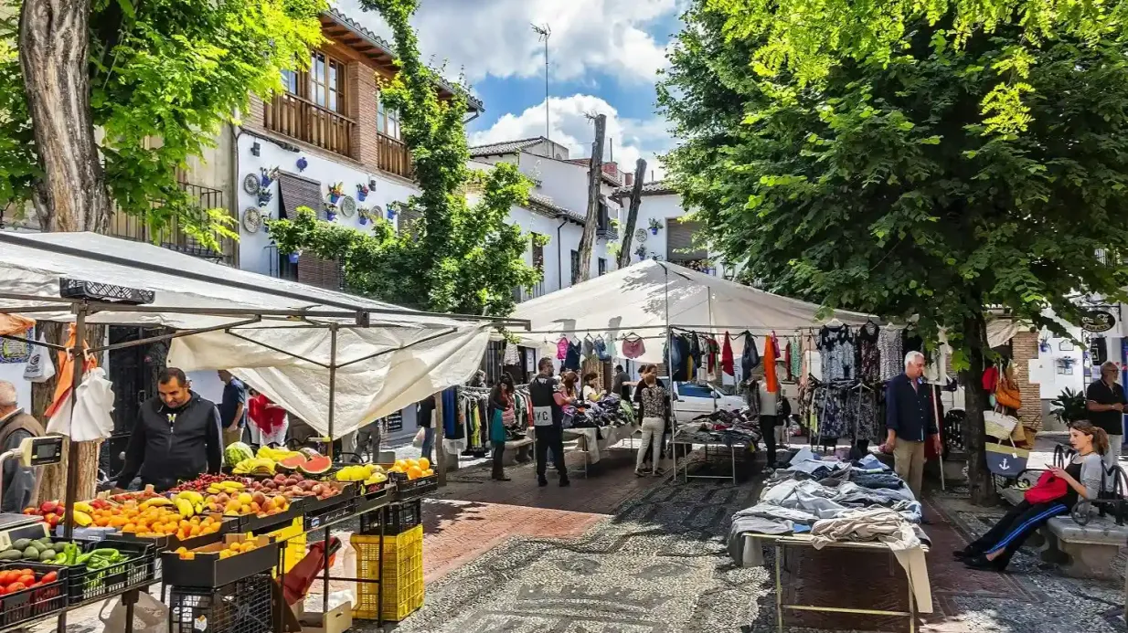 Granada: Visita guiada al Albaicín y al Sacromonte