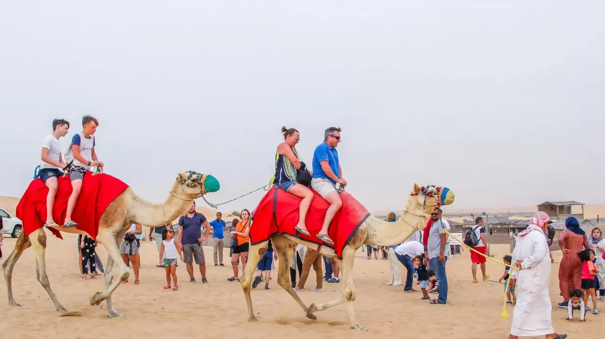 Safari por el desierto por la tarde: Sandboard, paseo en camello, espectáculos en vivo con cena barbacoa